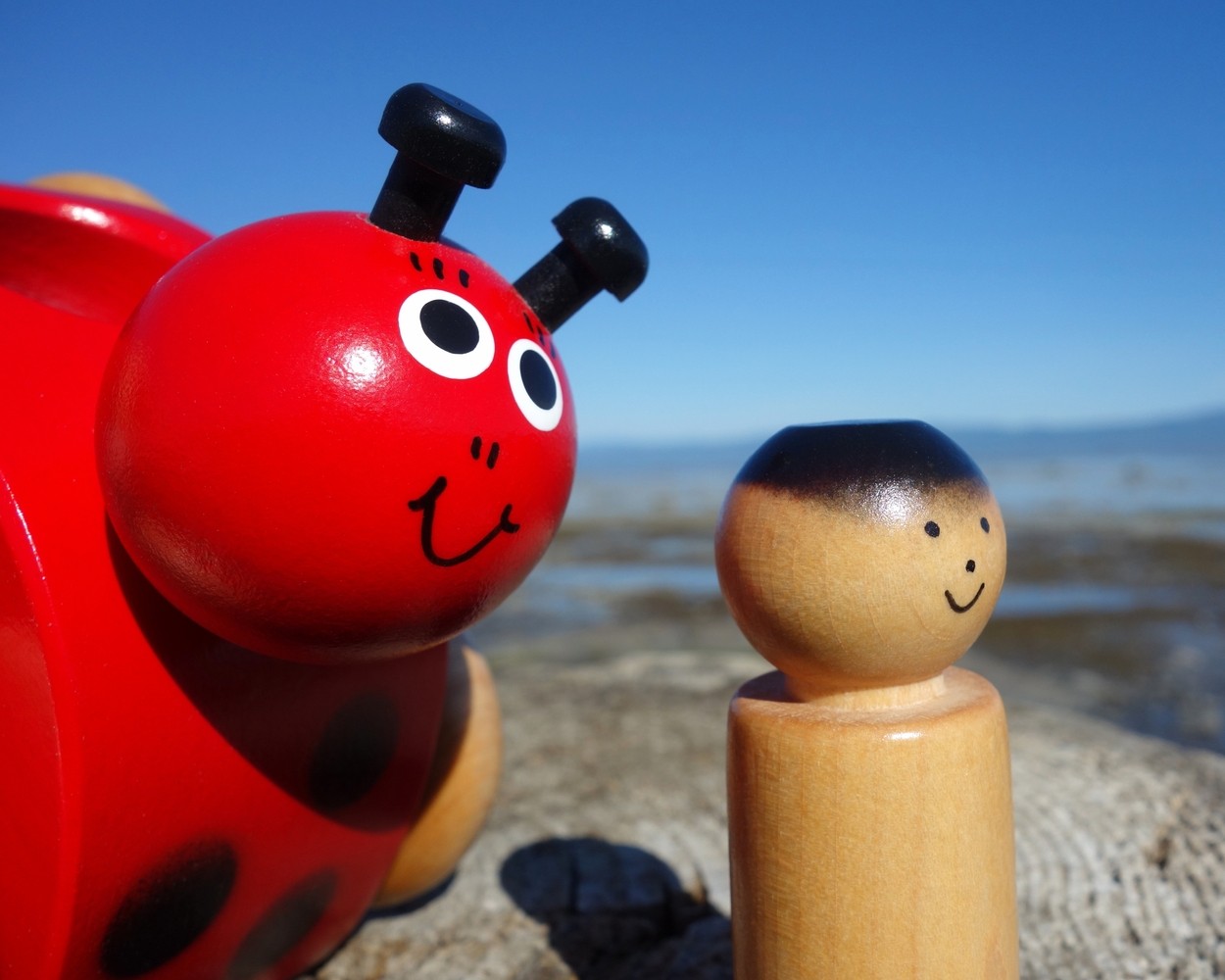 Mommy Ladybird